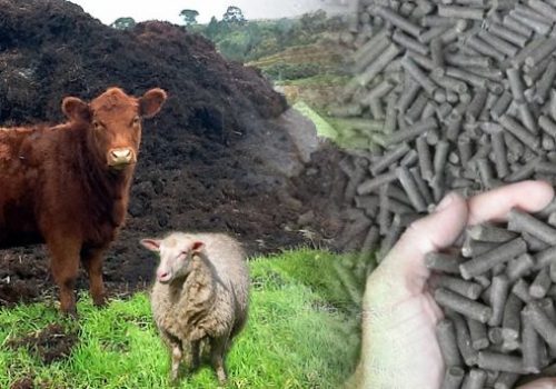 Animal Manure to Fertilizer