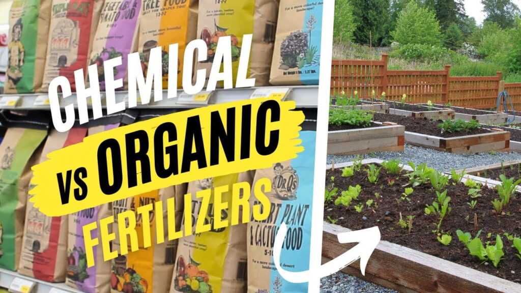 can organic fertilizer replace chemical fertilizers