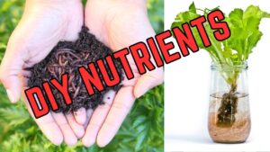 Can You Use Organic Fertilizer for Hydroponics? Complete Guide